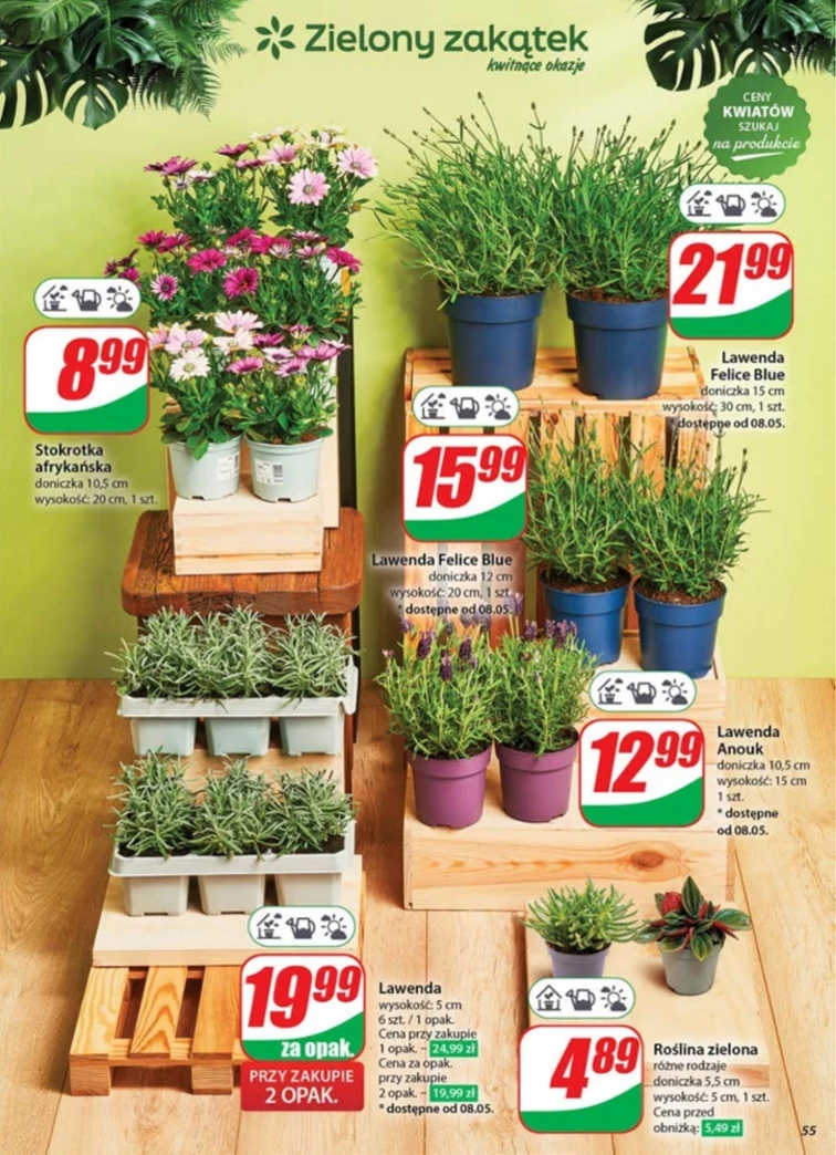 leaflet page preview image