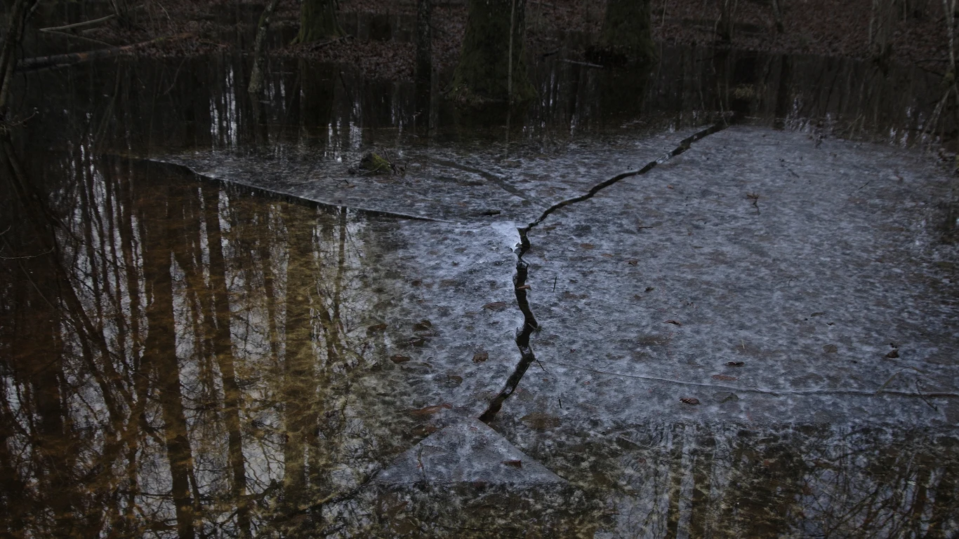 Kadr z filmu "Gość" Kadr z filmu "Gość"
