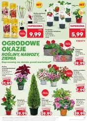 Smakuj świeżość codziennie – Kaufland