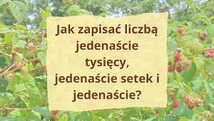 Nie daj się zwieść. To zadanie wygląda łatwo, ale wielu podaje złą odpowiedź