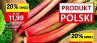 Ревінь Polski