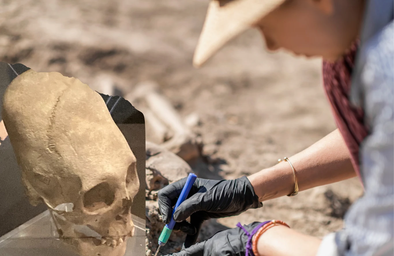 Badania na węgierskim cmentarzysku ujawniły dziesiątki wydłużonych czaszek. Archeolog w kapeluszu i rękawiczkach pracuje na stanowisku wykopaliskowym, trzymając narzędzie w dłoni. Obok widoczna czaszka, częściowo odkryta w ziemi.