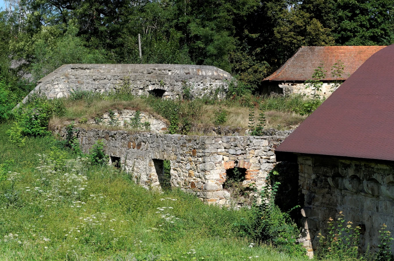 Kamienne ruiny ukryte wśród bujnej zieleni, częściowo porośnięte roślinnością. Widoczny jest fragment dachu budynku o ceglanym pokryciu. Całość otoczona jest drzewami, co nadaje miejscu tajemniczą atmosferę.