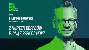 Jak pozbyć się śmieci z rzek? Masowo trafiają do mórz i zabijają zwierzęta