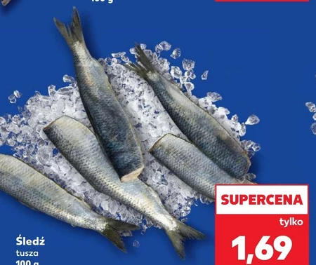 Śledź