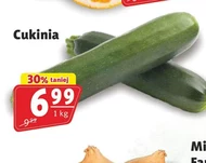Кабачок