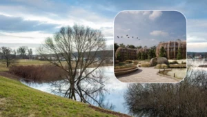 Tego hotelu nie zobaczysz z plaży. Idealnie wtapia się w naturę