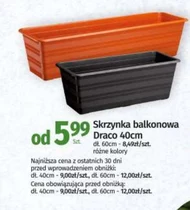 Skrzynka balkonowa