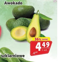 Awokado