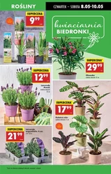Postaw na świeżość! - Biedronka