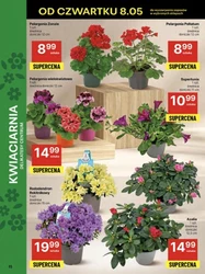 Mięsna uczta w dobrej cenie – Delikatesy Centrum