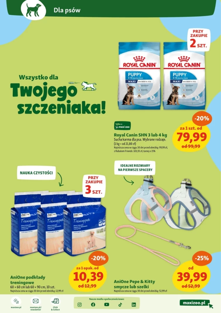 leaflet page preview image
