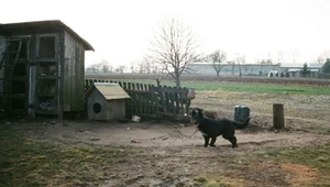 Spędzasz wakacje na wsi? Nigdy nie ignoruj tego widoku
