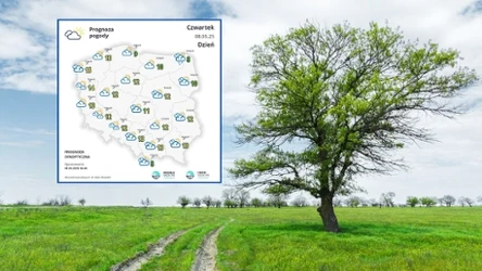 Czwartek przeważnie będzie słoneczny, ale zdecydowanie chłodny. W najcieplejszym rejonie będzie nie więcej niż 15 stopni Celsjusza