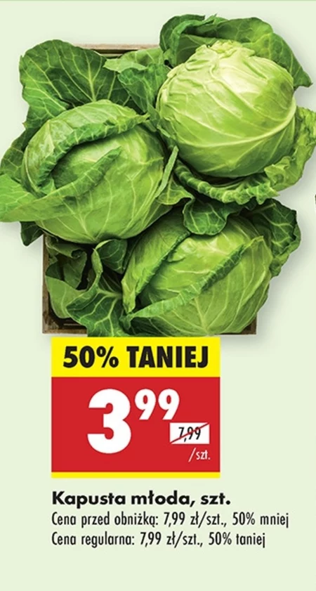 Kapusta młoda