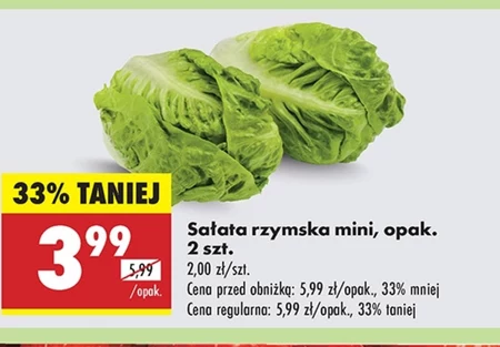 Sałata rzymska