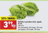 Sałata rzymska