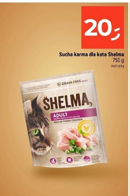 Karma dla kota Shelma