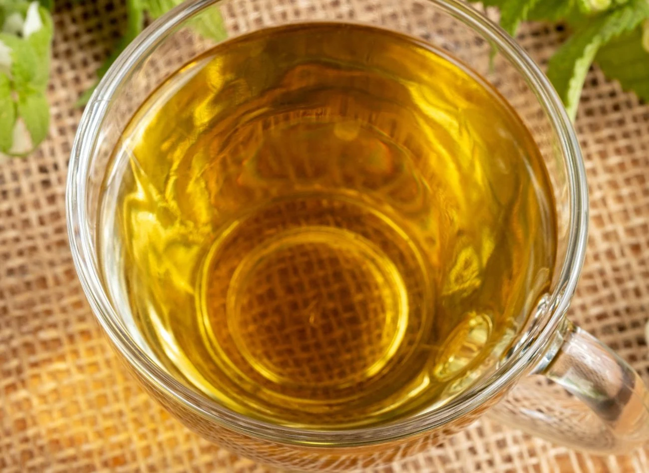 Roślina, z której można zrobić zdrowy napar, występuje na łąkach i w parkach. Łatwo ja przeoczyć Roślina, z której można zrobić zdrowy napar, występuje na łąkach i w parkach. Łatwo ja przeoczyć