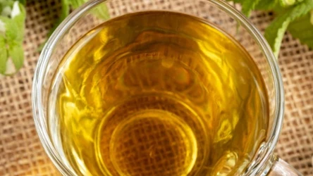 Roślina, z której można zrobić zdrowy napar, występuje na łąkach i w parkach. Łatwo ja przeoczyć