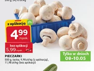 Pieczarki