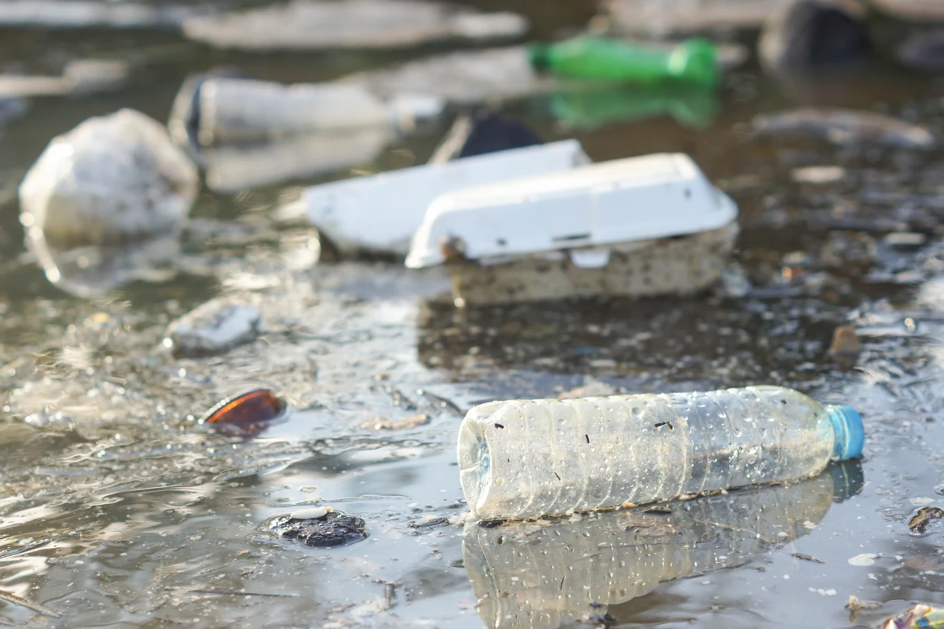 Zmniejszenie zanieczyszczenia wód jest celem strategii wodnej Plastikowe butelki i odpady pływające w zanieczyszczonej wodzie. Widoczne są różne rodzaje odpadów, takie jak opakowania i butelki, które tworzą nieestetyczny widok wskazujący na zanieczyszczenie środowiska.
