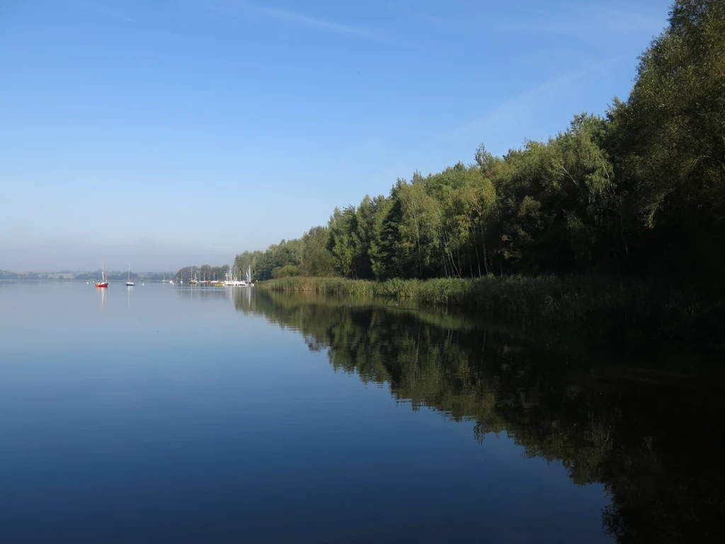 Jezioro Pławniowice nieopodal Gliwic. Piękne plenery przyciągają mieszkańców i przyjezdnych Gładka tafla jeziora otoczona drzewami z lewej strony, odbijająca błękitne niebo i zieleń lasu, z kilkoma żaglówkami na horyzoncie.