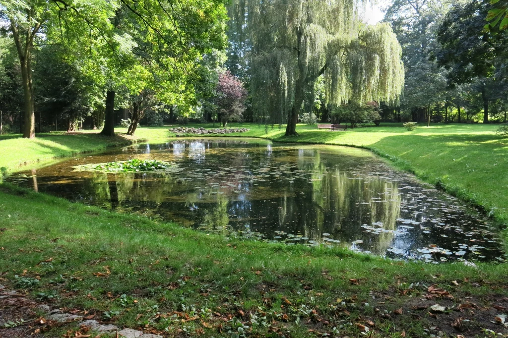 Park przy Palacu Ballestremow Staw otoczony zielenią w parku, na brzegu rosną drzewa, w tym duża wierzba o opadających gałęziach, w tle alejka i ławki.