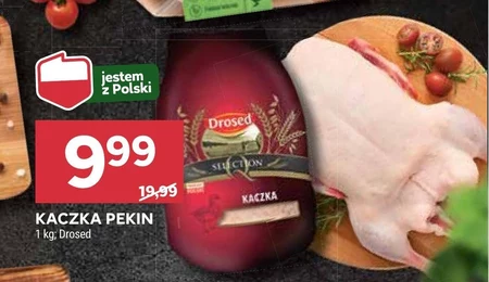 Kaczka Drosed