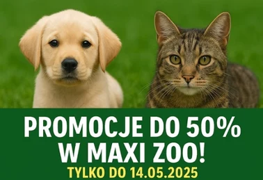 Maxi Zoo – majowa gazetka pełna korzyści dla Ciebie i Twojego pupila