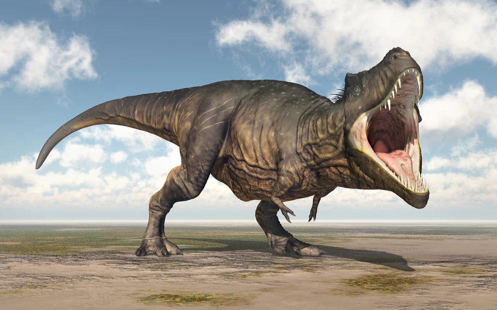Tyranozaur rex istniał na świecie do katastrofy sprzed 66 milionów lat Tyranozaur rex istniał na świecie do katastrofy sprzed 66 milionów lat