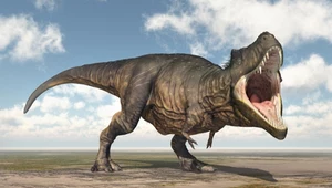 Zagadka powstania tyranozaura wyjaśniona. Wiemy, skąd wziął się gatunek