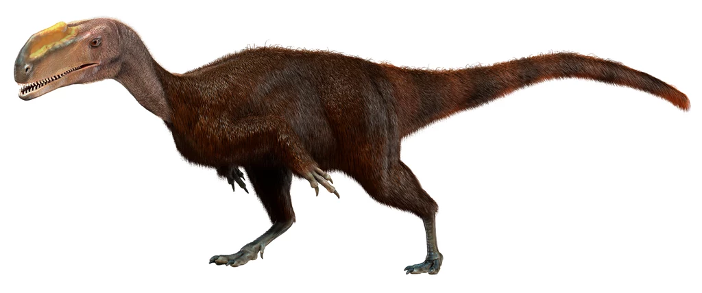 Kileskus - jeden z najstarszych przodków tyranozaura Kileskus - jeden z najstarszych przodków tyranozaura