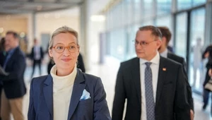 Ważna decyzja ws. AfD. Niemiecki sąd ogłasza