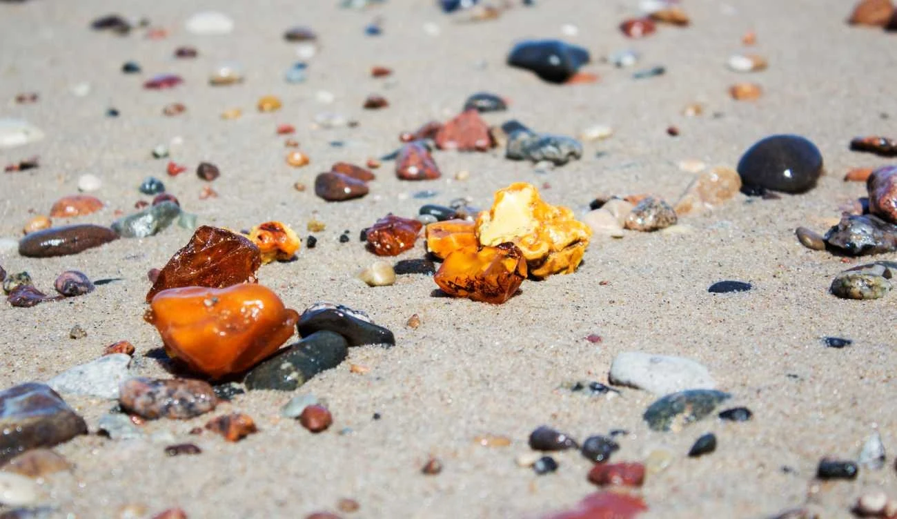 Jak rozpoznać bursztyn? 