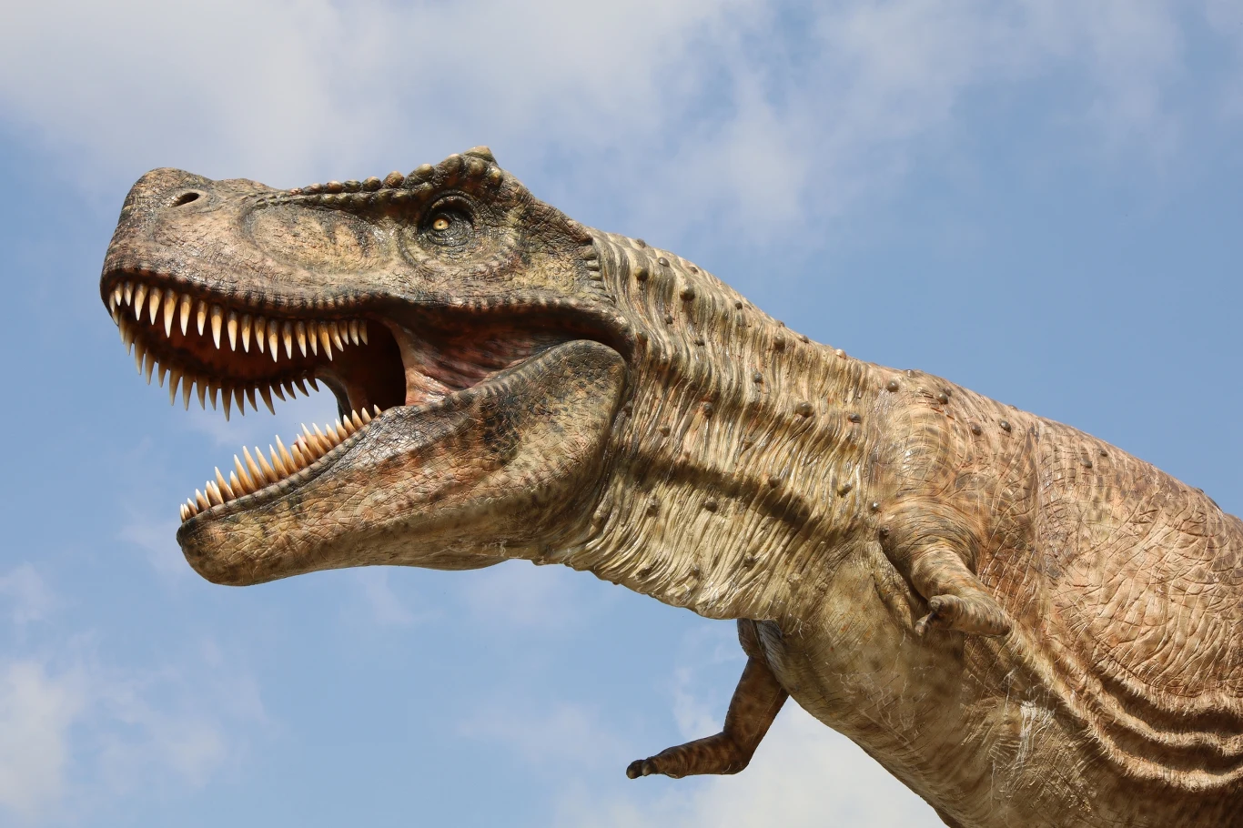 Tyranozaur ma azjatyckich przodków, ale ewoluował w Ameryce Północnej Monstrualna rekonstrukcja tyranozaura w dynamicznej pozie na tle jasnego nieba. Potężne szpony i ostre zęby są wyraźnie widoczne, a realistyczne szczegóły dodają dramatyzmu.