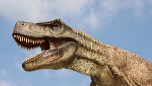 Tyranozaur ma azjatyckich przodków, ale ewoluował w Ameryce Północnej