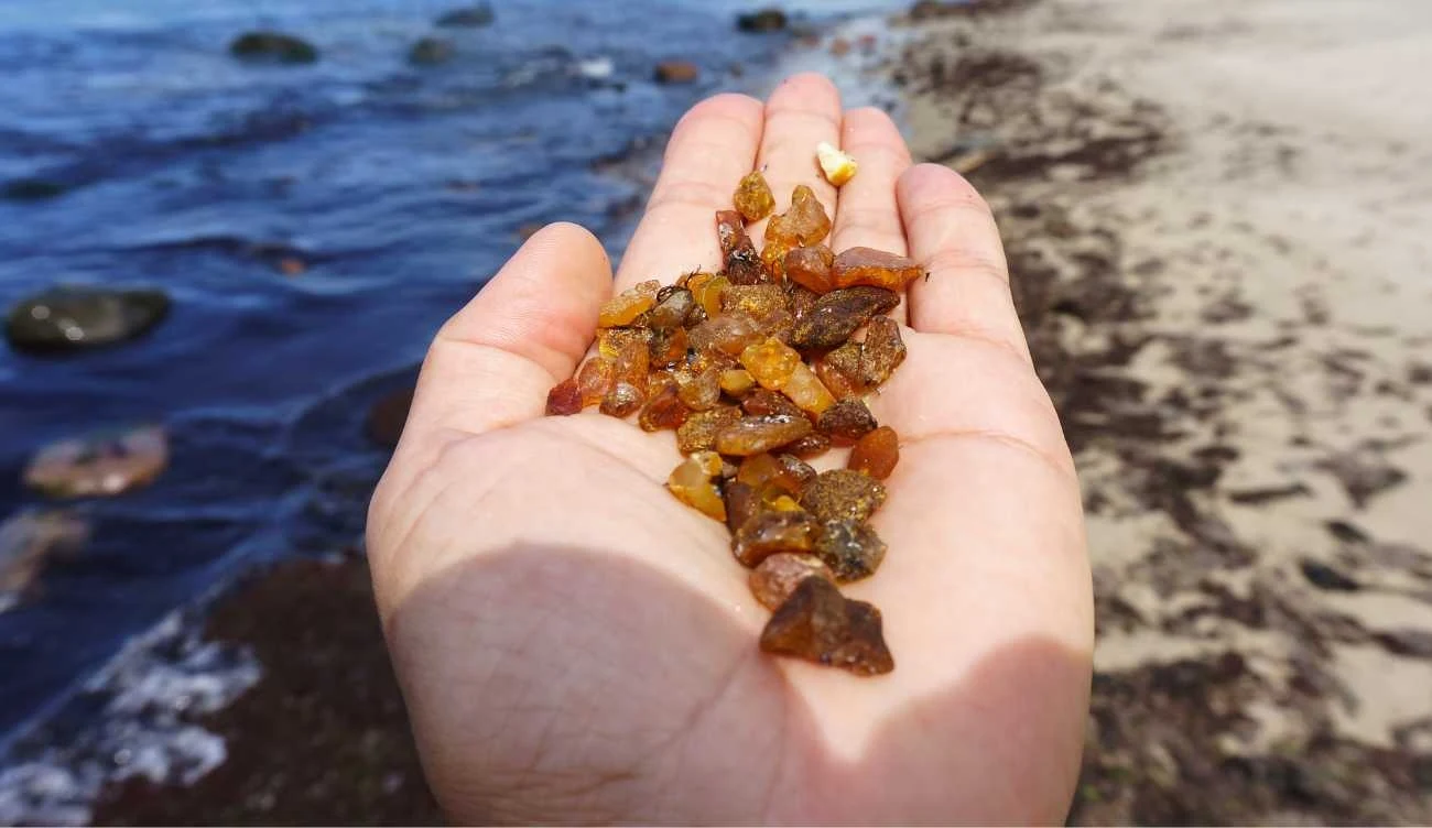 Tego możesz nie wiedzieć o bursztynie