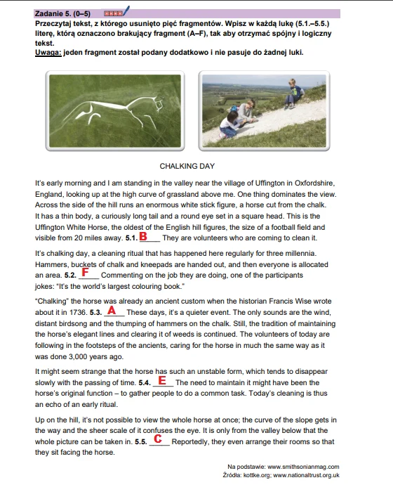 Matura 2025. Język angielski, poziom rozszerzony - strona 8