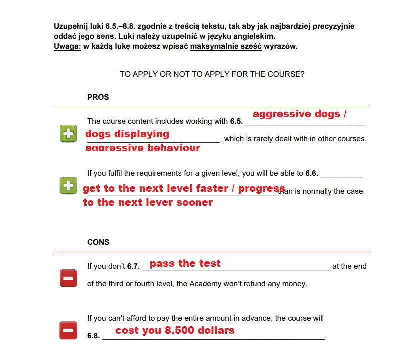 Matura 2025. Język angielski, poziom rozszerzony - strona 13