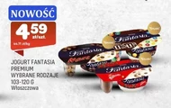 Йогурт Fantasia