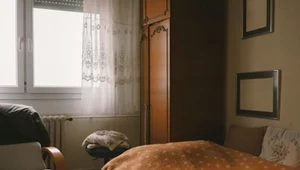 Czy kleszcze mogą wejść do domu? Groźne pajęczaki chowają się w tych miejscach