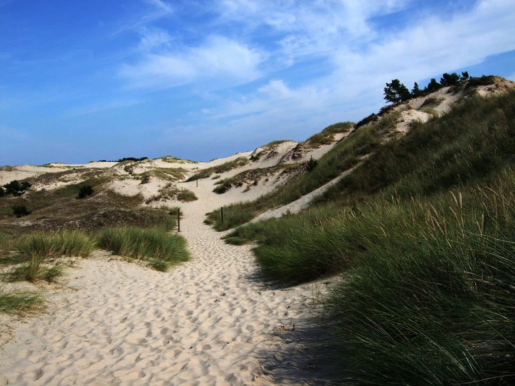 Zatopiony las znajduje się na odcinku plaży między Czołpinem a Rowami, w okolicach jeziora Dołgie Duże. Wydmy nadmorskie pod jasnym niebem porośnięte trawami, z piaszczystą ścieżką prowadzącą w dal. Niebo jest częściowo zachmurzone, tworząc pogodny i spokojny krajobraz.