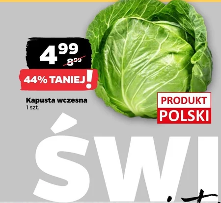 Kapusta Polski