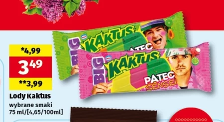Морозиво Kaktus