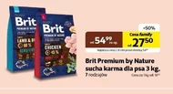 Karma dla psa Brit