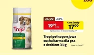 Karma dla psa Tropi