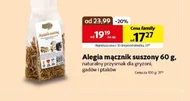 Przysmak dla ptaków Alegia