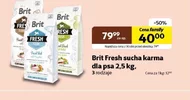 Karma dla psa Brit