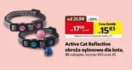 Obroża dla kota Active Cat